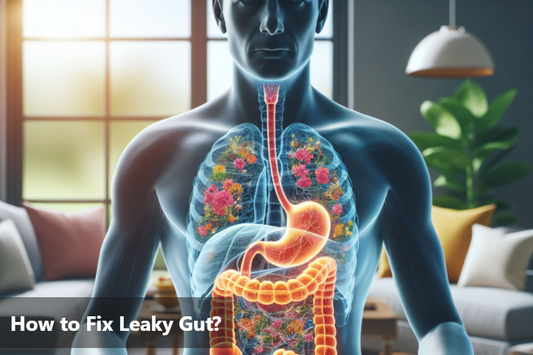 Illustration of the digestive system highlighting leaky gut solutions