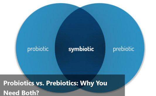 Venn diagram showing the relationship between probiotics, prebiotics, and symbiotics.