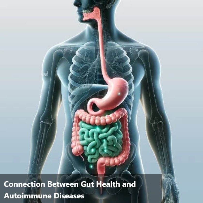 A digital illustration of a human body with a transparent effect, highlighting the digestive system