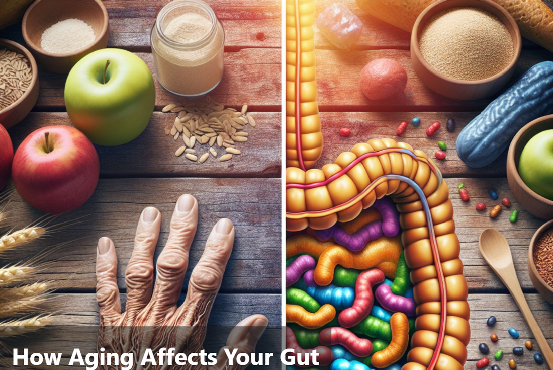 co relation between gut health and aging