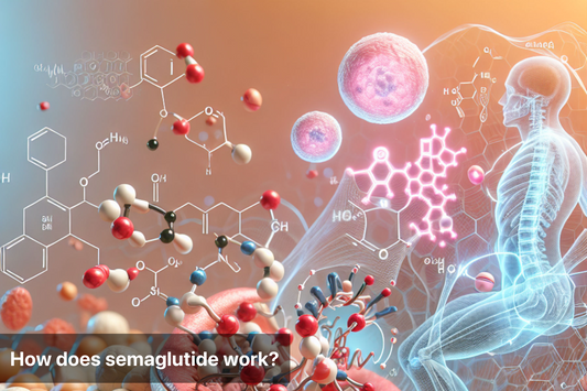 Illustration of semaglutide's mechanism in the human body