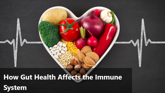 Relationship between healthy gut and immunity