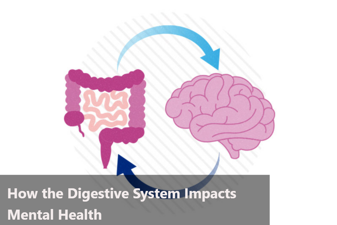 Illustration of the gut-brain connection highlighting digestive and mental health link