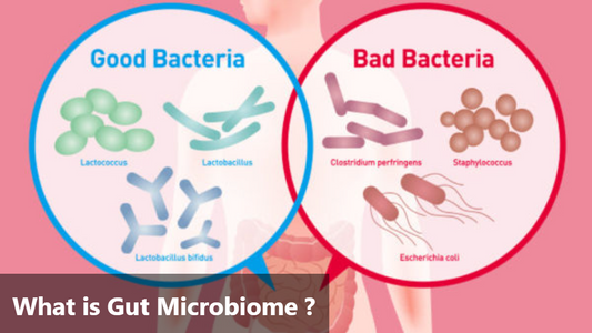 microbiome in gut