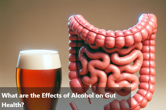 Illustration of intestines next to a glass of beer highlighting gut health effects.
