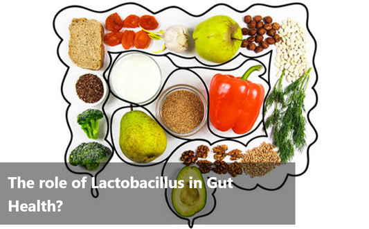 Healthy food for for healthy gut 