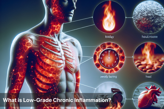 Illustration of low-grade chronic inflammation in the body