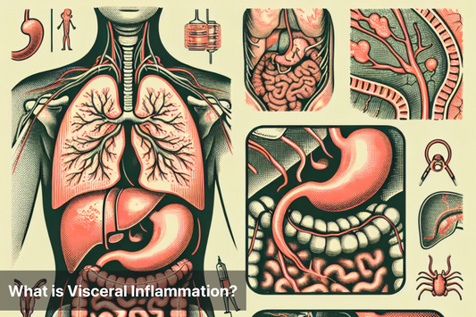 Illustration of the human body highlighting visceral organs and inflammation.